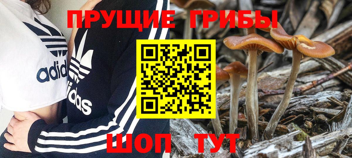 Псилоцибиновые грибы Magic Shrooms Октябрьский