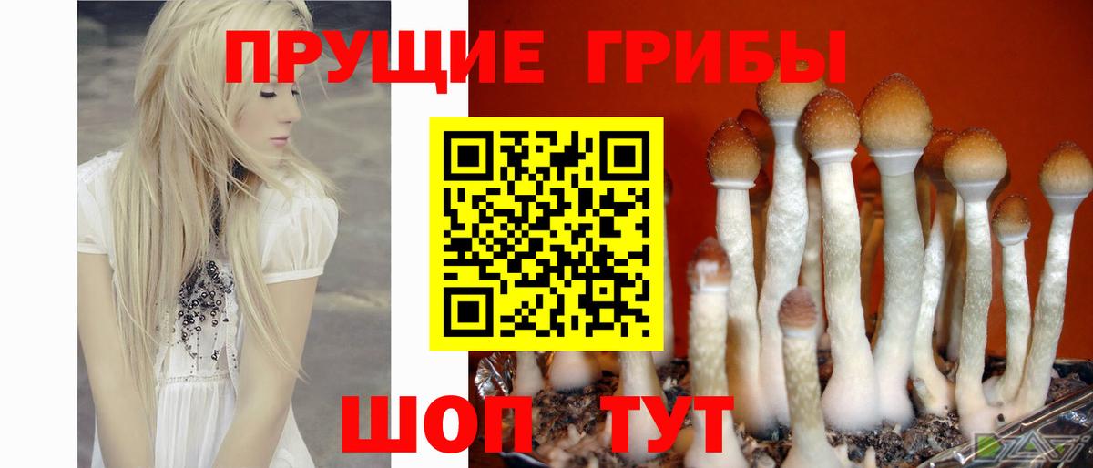 Октябрьский  Галлюциногенные грибы GOLDEN TEACHER  Псилоцибиновые грибы GOLDEN TEACHER  Вход с VPN 